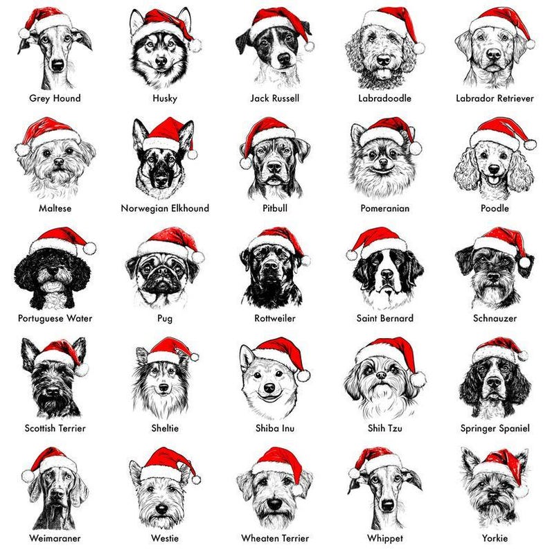 Custom Santa Paws Christmas Dog Sweatshirt, 50 Dog Breeds in Festive Santa Hat T-shirt, Dog Lover Shirt, Funny Christmas Gift Hoodie